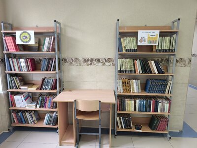 Зона буккроссинга